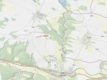 Dražba lesa, Vladislav, 219 m2