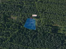 Dražba lesa, Břežany, 1701 m2