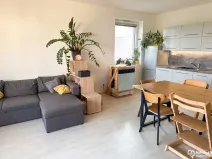 Pronájem bytu 2+kk, Olomouc, Slavonínská, 59 m2