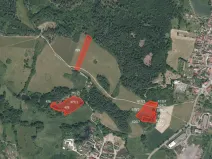 Prodej louky, Pačejov, 8897 m2