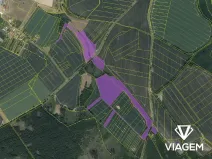 Prodej podílu pole, Golčův Jeníkov, 2951 m2