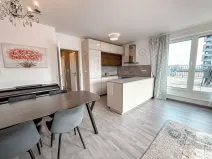 Pronájem bytu 3+kk, Praha - Žižkov, Olgy Havlové, 110 m2