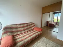 Pronájem bytu 1+kk, Praha - Žižkov, Budovcova, 30 m2