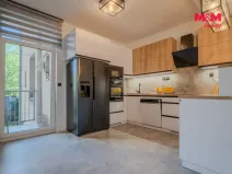 Pronájem bytu 3+kk, Ostrava - Vítkovice, Závodní, 89 m2