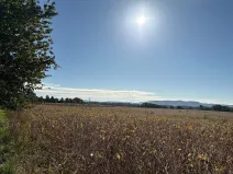 Prodej pozemku pro bydlení, Chocnějovice, 5680 m2