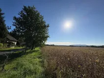 Prodej pozemku pro bydlení, Chocnějovice, 5680 m2