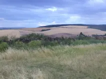 Dražba pole, Morkůvky, 4541 m2
