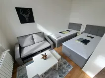 Pronájem bytu 1+kk, Brno, Koliště, 31 m2