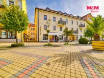 Pronájem bytu 1+kk, Františkovy Lázně, Národní, 30 m2