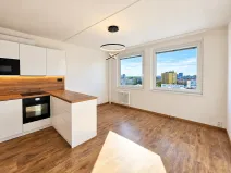 Prodej bytu 2+kk, Praha - Žižkov, Buková, 43 m2