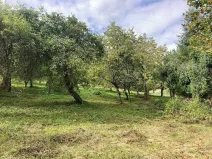 Prodej pozemku pro bydlení, Plavy, 1132 m2