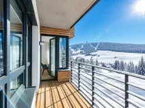 Prodej bytu 3+kk, Loučná pod Klínovcem, 102 m2