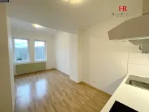 Pronájem bytu 1+kk, Týnec nad Sázavou, 24 m2