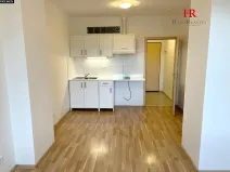 Pronájem bytu 1+kk, Týnec nad Sázavou, 24 m2