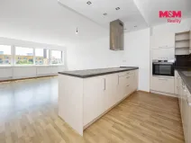 Pronájem bytu 3+kk, Pardubice - Zelené Předměstí, Hronovická, 119 m2
