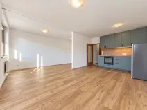 Pronájem bytu 1+kk, Praha - Podolí, Dvorecká, 43 m2