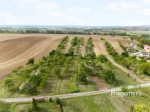Prodej zahrady, Prace, 832 m2