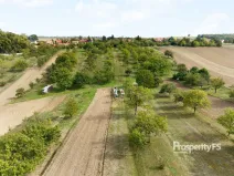Prodej zahrady, Prace, 832 m2