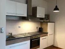 Pronájem bytu 1+kk, Karlovy Vary, Mattoniho nábřeží, 47 m2
