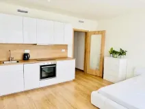 Pronájem bytu 1+kk, Praha - Vysočany, Střídavá, 36 m2