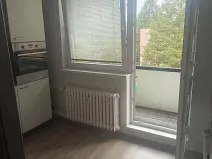 Prodej bytu 2+1, Brno, Foerstrova, 56 m2