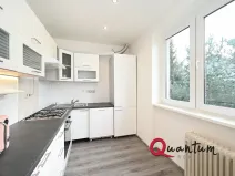 Pronájem bytu 2+1, Kladno, Brjanská, 49 m2