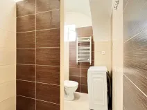 Pronájem bytu 1+kk, Hradec Králové - Plotiště nad Labem, 18 m2