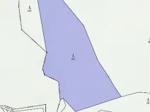 Prodej lesa, Slavíkov, 8906 m2