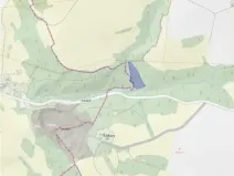 Prodej lesa, Slavíkov, 8906 m2