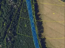 Prodej lesa, Česká Bělá, 1714 m2
