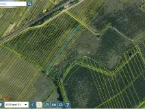 Prodej sadu/vinice, Lužice, 3039 m2