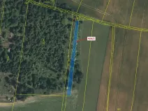 Dražba lesa, Volfířov, 592 m2