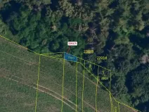 Dražba lesa, Oslavany, 26 m2