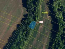 Dražba lesa, Babice u Rosic, 359 m2