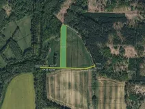 Prodej louky, Lázně Bohdaneč, 10075 m2