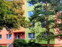 Pronájem bytu 3+1, Veselí nad Moravou, Hutník, 74 m2