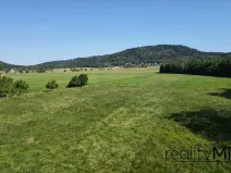 Prodej louky, Křižany, 1044 m2