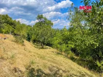 Prodej zahrady, Brno - Medlánky, 433 m2