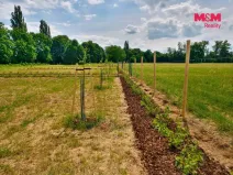 Prodej zahrady, Hradec Králové - Pražské Předměstí, 500 m2