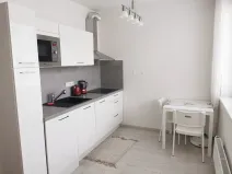 Pronájem bytu 1+kk, Brno, Nad Přehradou, 24 m2