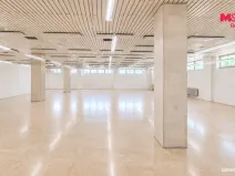 Pronájem obchodního prostoru, Havířov - Šumbark, Marie Pujmanové, 260 m2