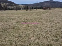 Prodej pozemku pro bydlení, Velká Bukovina, 950 m2