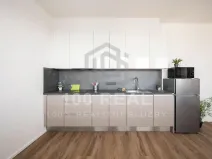 Pronájem bytu 1+kk, Hradec Králové, Průmyslová, 29 m2