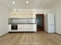 Pronájem bytu 1+kk, Brno, Věstonická, 38 m2