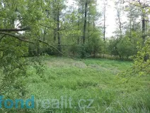 Prodej pozemku, Dětmarovice - Koukolná, 1844 m2