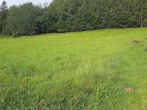 Prodej pozemku pro bydlení, Hrádek, 7770 m2