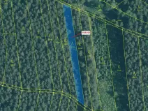 Dražba lesa, Hosty, 1258 m2