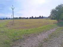 Dražba pole, Vrbice, 9030 m2