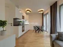 Pronájem bytu 2+kk, Praha - Karlín, Breitfeldova, 55 m2