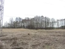 Prodej rybníku, Brniště, 486 m2